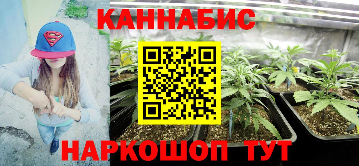 Конопля семена  Вход с VPN  МАРИХУАНА AK-47  Бошки марихуана план  Туймазы 